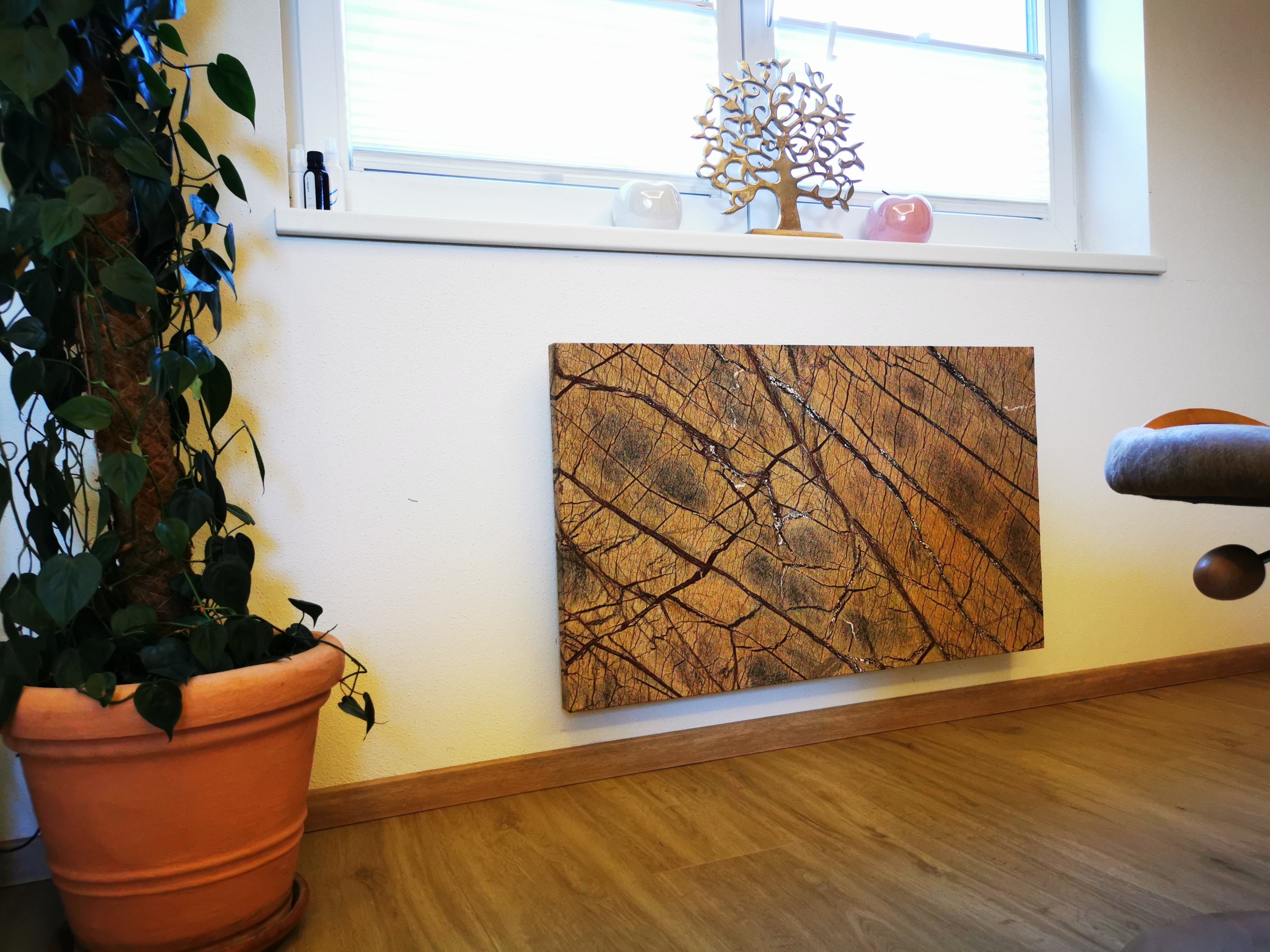Proiect Ecostone 8